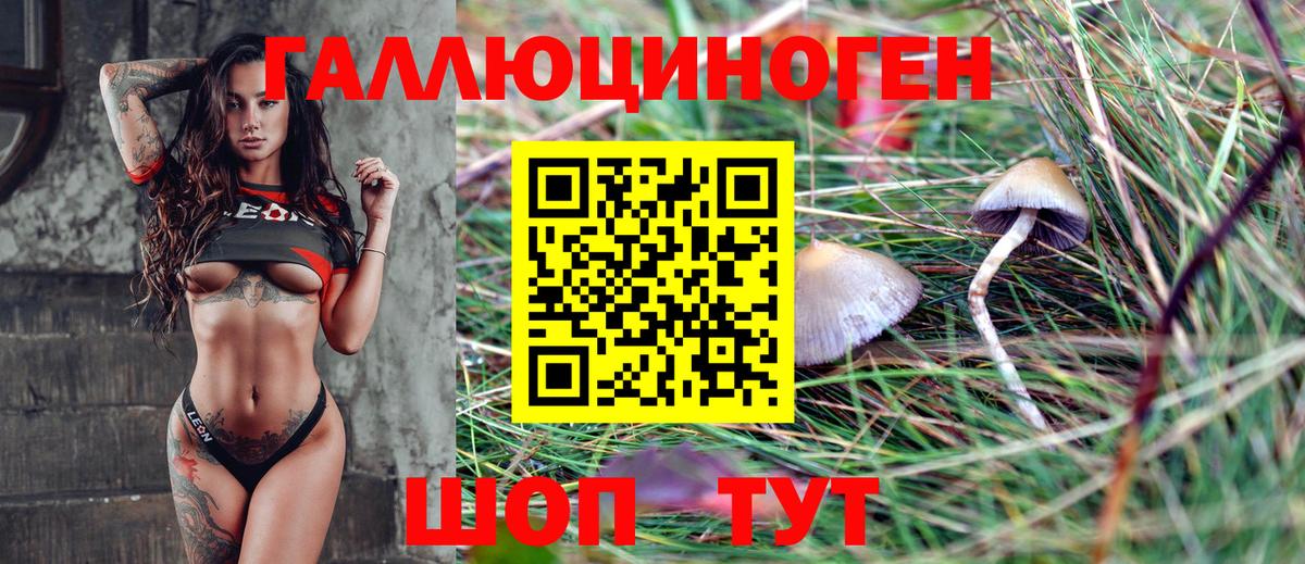 Галлюциногенные грибы ЛСД  Галлюциногенные грибы Magic Shrooms  Вход с VPN  Новоалександровск 