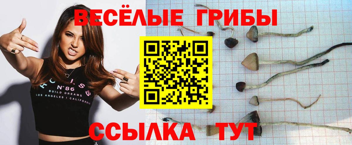 Гашиш  Каннабис  Новоалександровск  Мефедрон кристаллы  COCAIN  МЕТ  Вход с VPN  Купить наркотик 