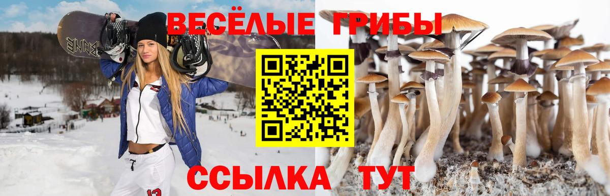 Галлюциногенные грибы MAGIC MUSHROOMS Новоалександровск
