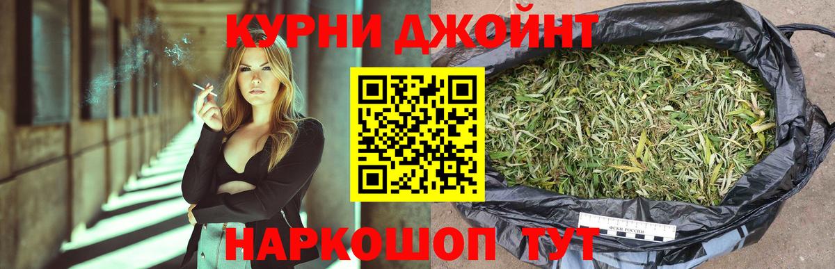 Шишки марихуана MAZAR  Вход с VPN  Марихуана сатива  Каннабис AK-47  Новоалександровск  Шишки марихуана план 